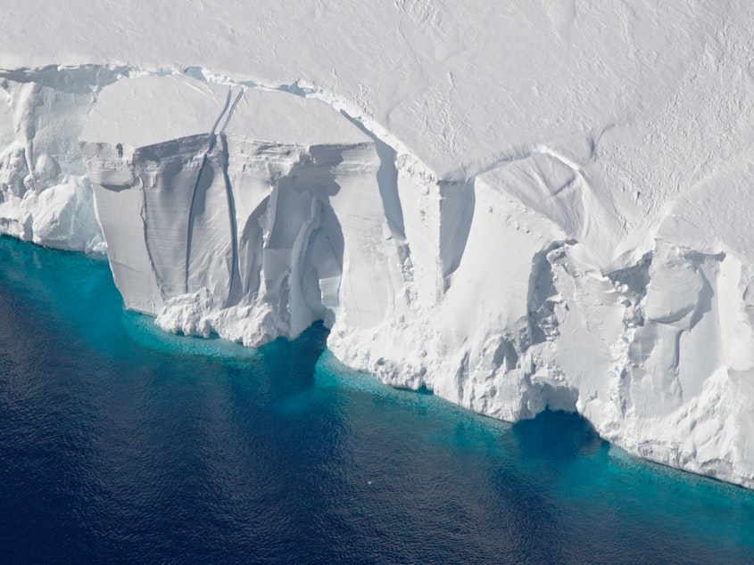 caption: Warming oceans are melting the ice around Antarctica, accelerating how much ice flows off the continent.