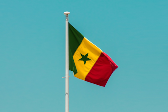 caption: The Senegalese flag.


