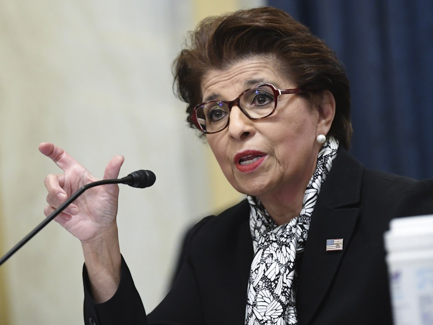 caption: Jovita Carranza, Administrator of the Small Business Administration, testifies during a Senate Small Business and Entrepreneurship hearing June 10, 2020, on Capitol Hill in Washington.