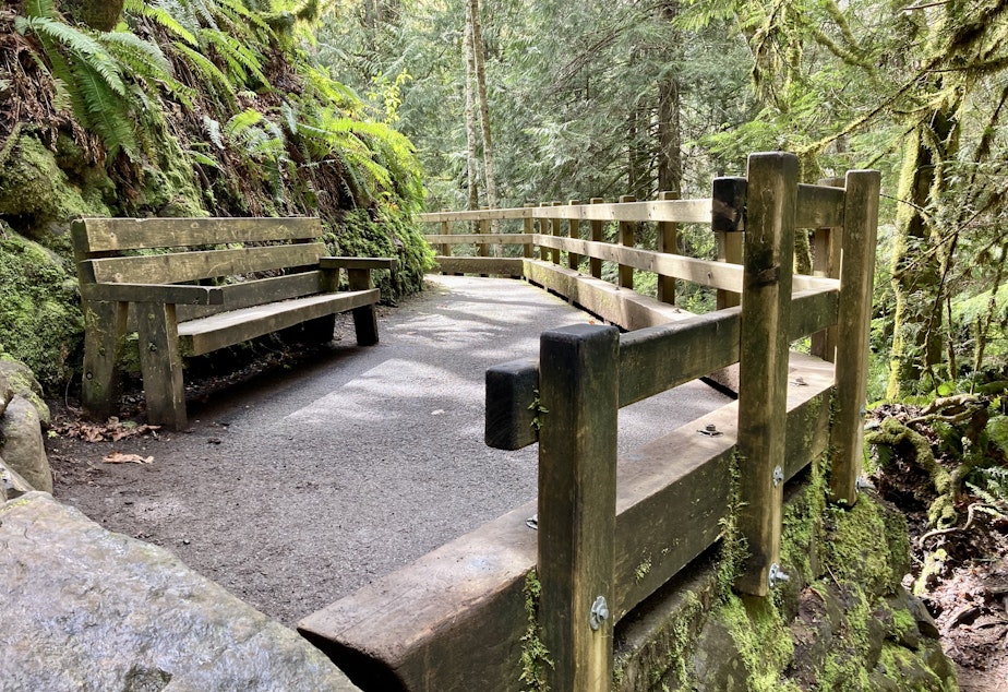 caption: The trail to Madison Falls near Port Angeles is paved and includes benches along the way to accommodate hikers of all levels and ability.  