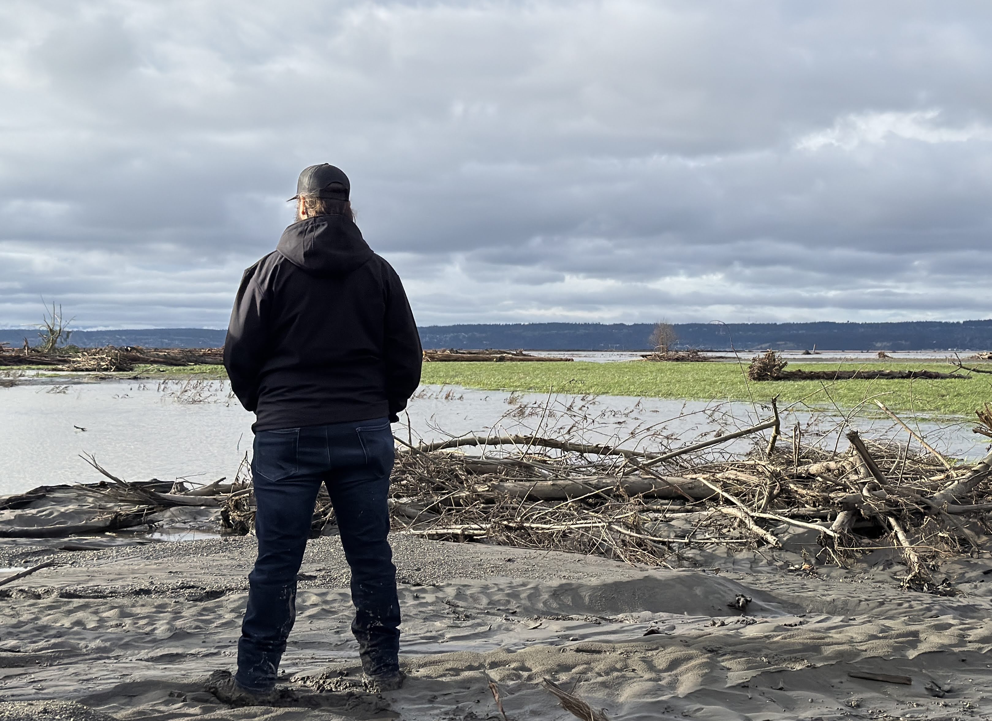 caption: Stillaguamish Tribe fisheries manager Jason Boyd looks out at newly restored habitat at the mouth of the Stillaguamish River on Dec. 19, 2025.