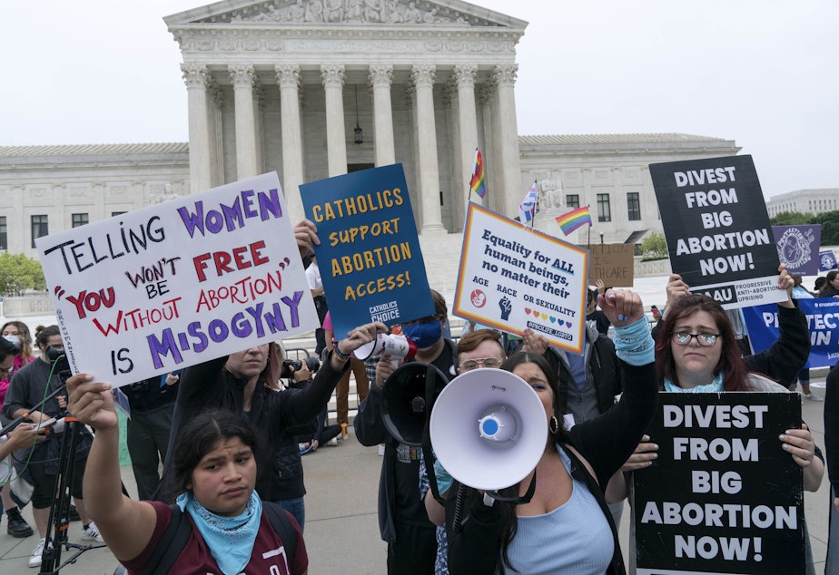 caption: Demonstrators protest outside of the Supreme Court this week.