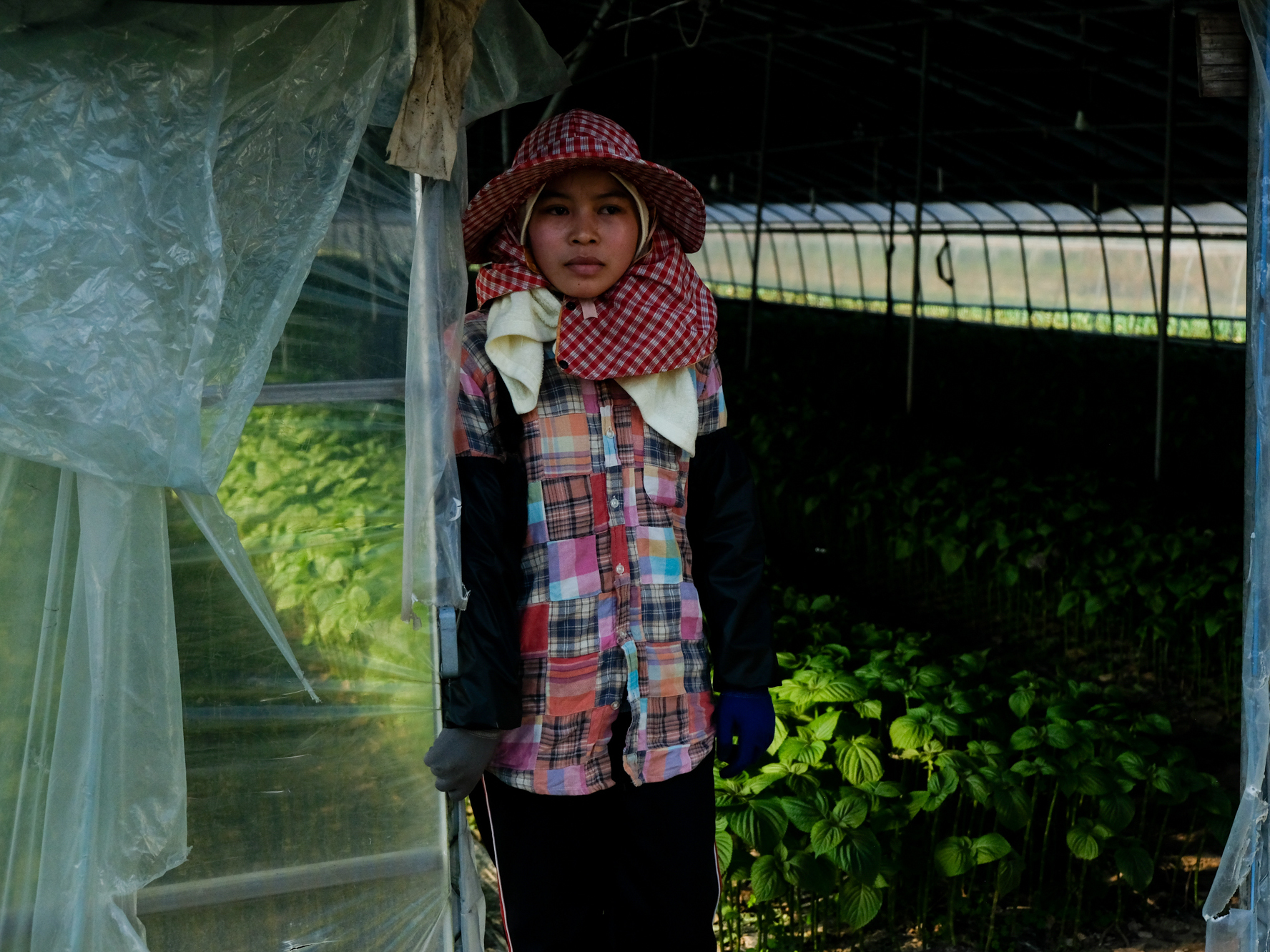 caption: A Cambodian migrant farm worker stands outside the greenhouse where she works growing vegetables in Miryang, South Korea.