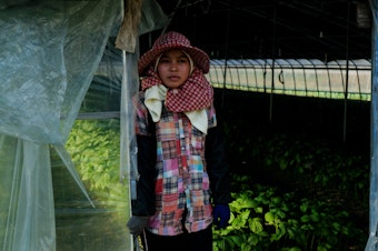 caption: A Cambodian migrant farm worker stands outside the greenhouse where she works growing vegetables in Miryang, South Korea.