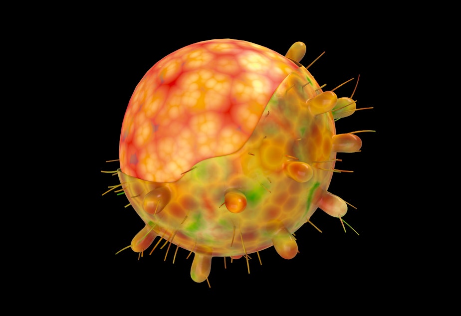 caption: A computer generated image of the omicron variant.
