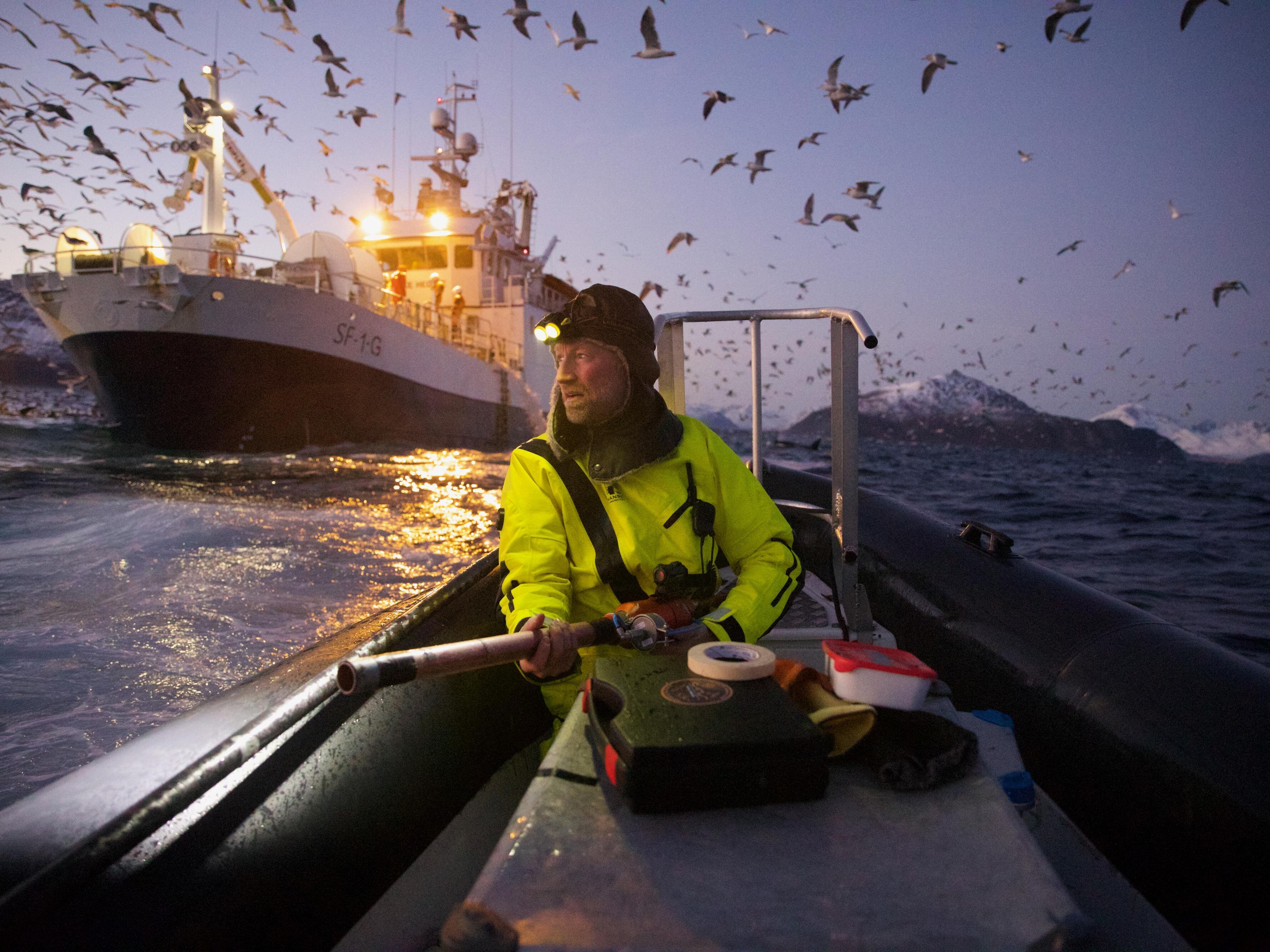 caption: Spatial ecologist Emma Vogel photographed biologist Audun Rikardsen as they tracked whales in a fjord in northern Norway.