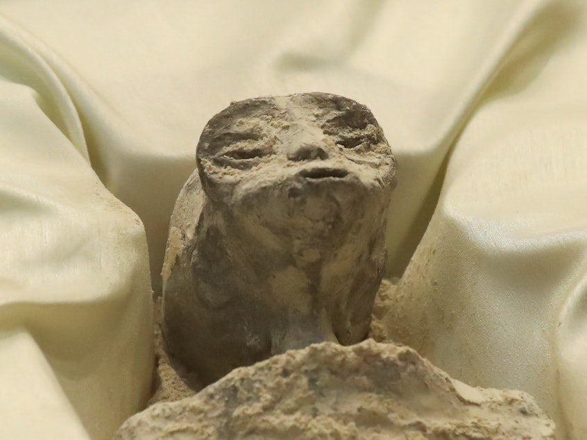 caption: Remains of an allegedly "nonhuman" being are displayed during a briefing on unidentified flying objects at the San Lazaro legislative palace, in Mexico City, Tuesday.