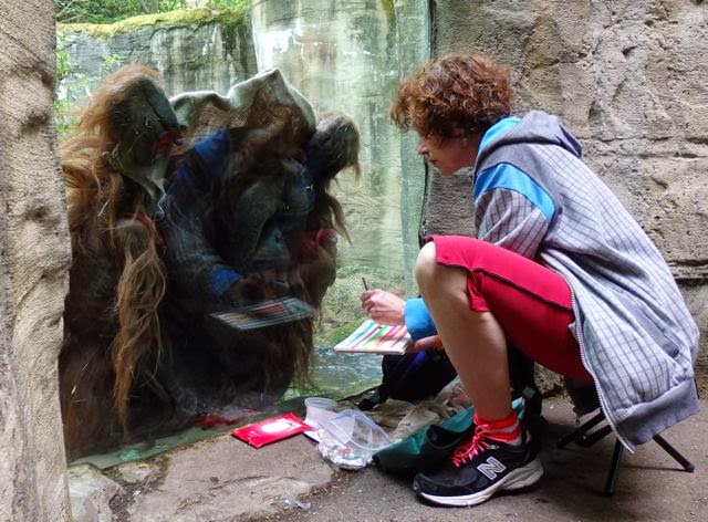 caption: Towan the orangutang watches actress Karin Konoval work at the Woodland Park Zoo in Seattle.