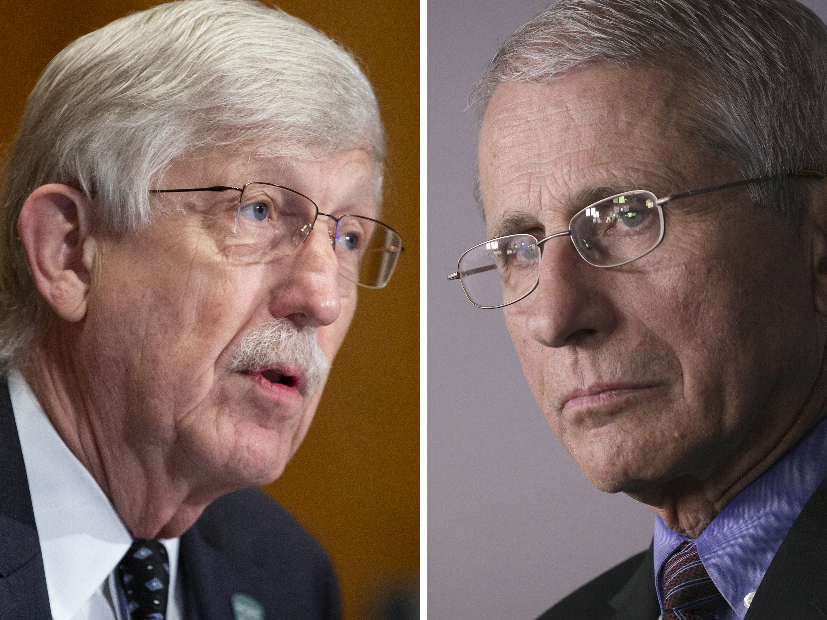 caption: Dr. Francis Collins, left, and Dr. Anthony Fauci are two of the most public faces of the U.S. fight against the coronavirus pandemic.