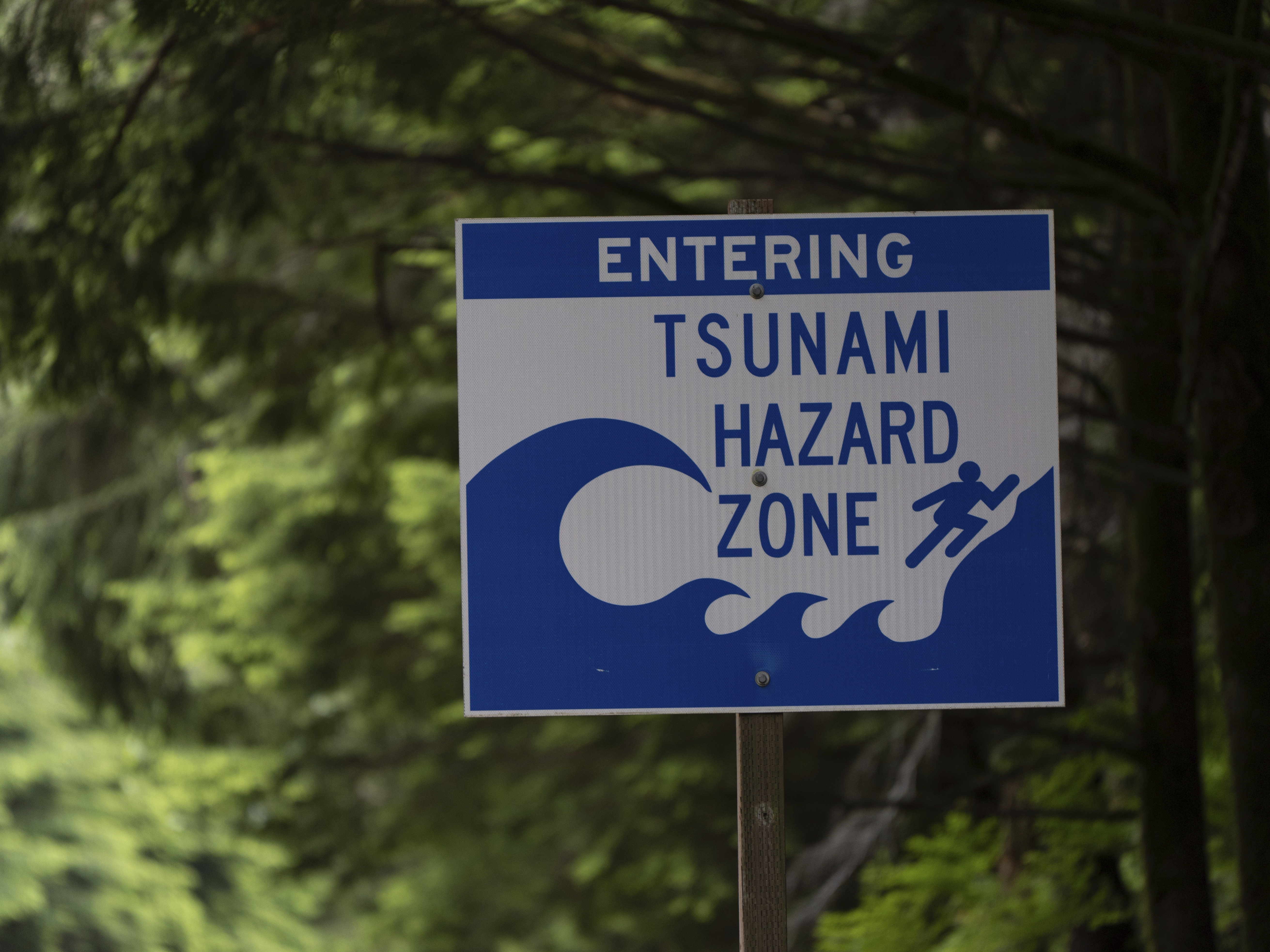 caption: A sign warning drivers that they are entering a tsunami hazard zone is displayed along U.S. Route 101 also known as the Oregon Coast Highway north of Lincoln City, Ore., on June 14, 2024.