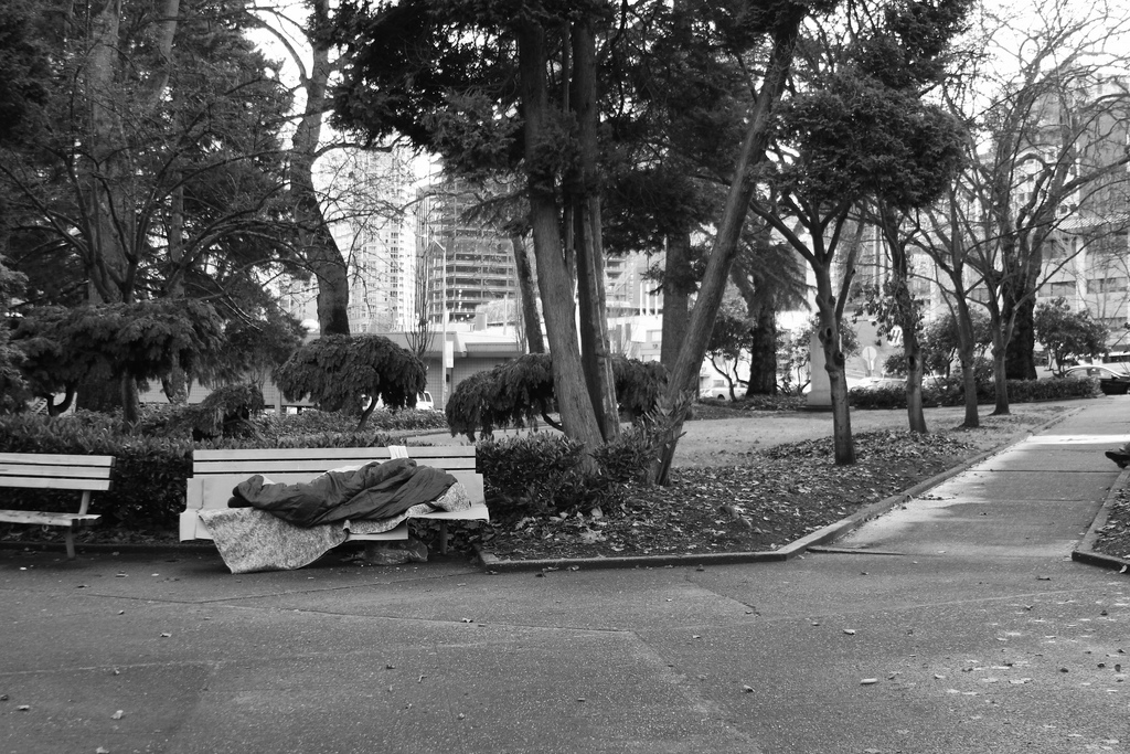 caption: A person sleeps on a bench in a Seattle park.