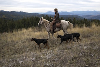 caption: Rangerider Daniel Curry rides his horse Griph, along with his three Doberman dogs on Tuesday, October 15, 2019, near Danville. 