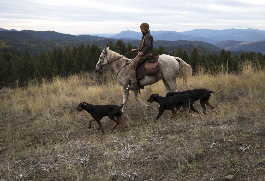 caption: Rangerider Daniel Curry rides his horse Griph, along with his three Doberman dogs on Tuesday, October 15, 2019, near Danville.