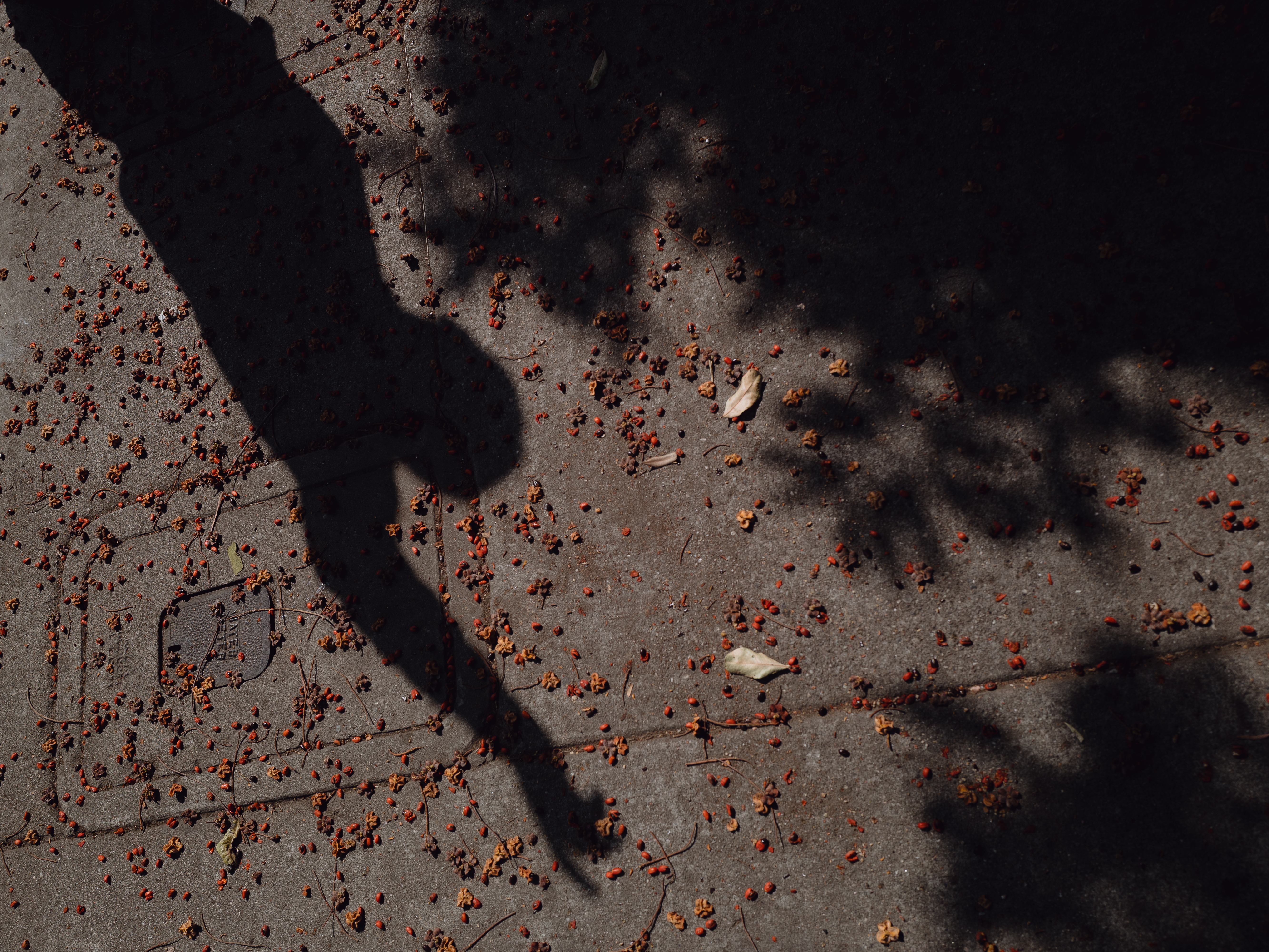 caption: A man who witnessed an immigration raid at a junkyard in Montebello, Calif., on June 12, recounted what he saw.
