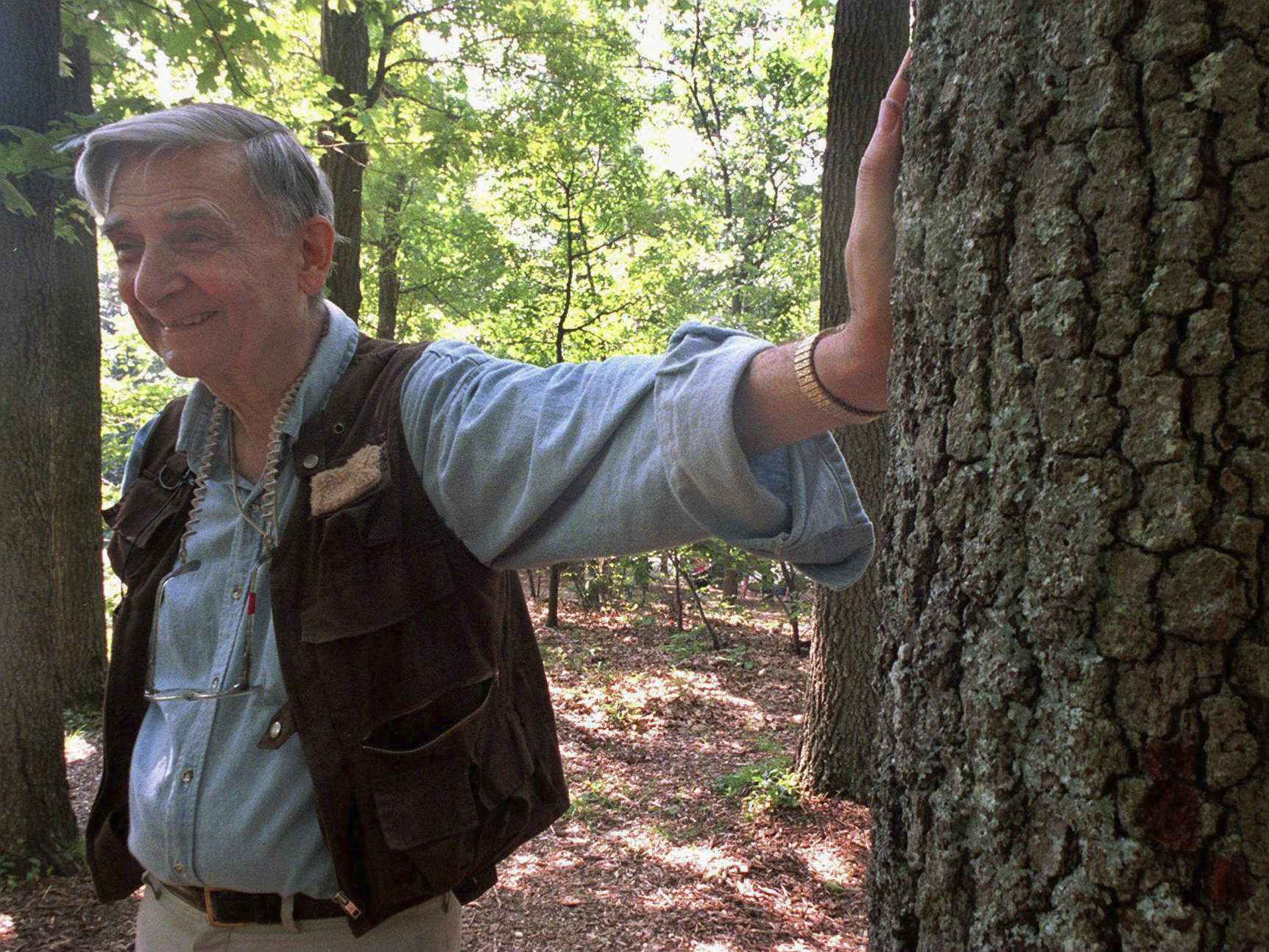 caption: Harvard University professor and Pulitzer Prize winner Edward O. Wilson takes a break from searching for insects in the Walden Pond State Reservation in Concord, Mass., in 1998. Wilson died on Sunday at the age of 92.
