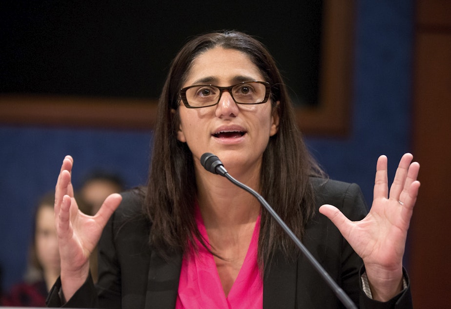 caption: FILE - In this Feb. 10, 2016 file photo, Dr. Mona Hanna-Attisha speaks on Capitol Hill in Washington during a House Democratic Steering and Policy Committee hearing on The Flint Water Crisis. 