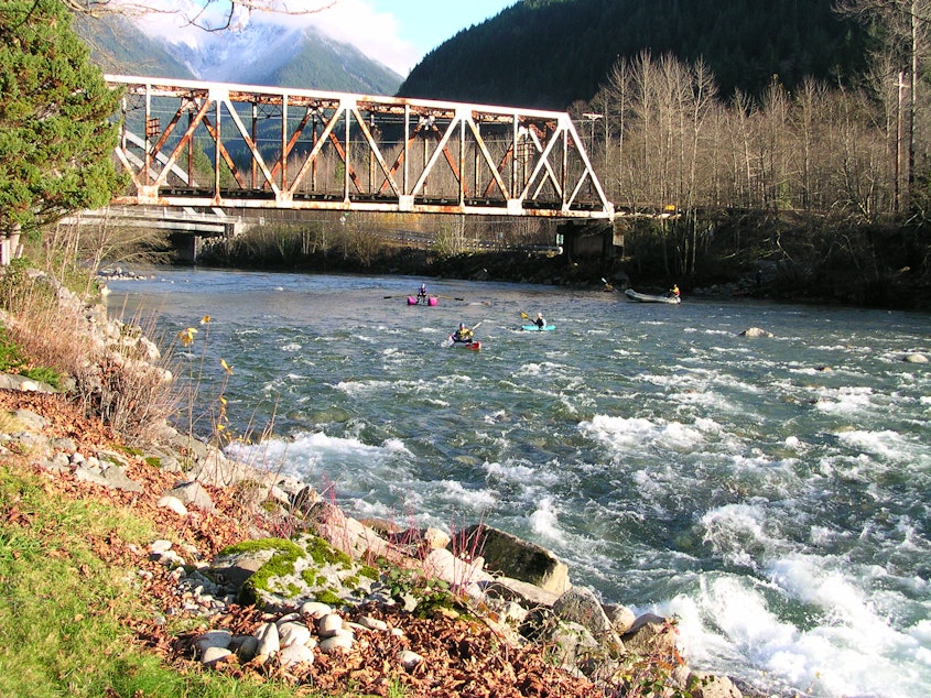 caption: Kayakers on the Skykomish River