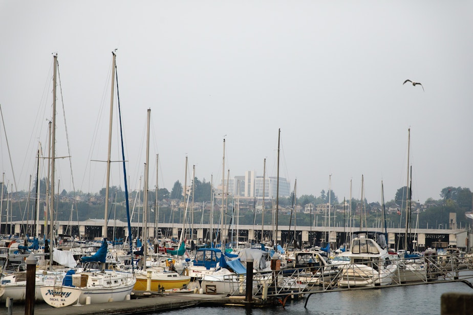 caption: Sailboats in Everett, Washington. (Finding Fixes)