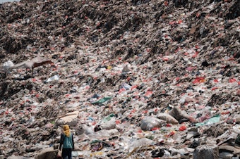 caption: A registered scavenger, who mainly collects plastic waste to sell, walking in a landfill in Indonesia.
