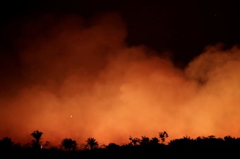 caption: Smoke billows during a fire in an area of the Amazon rainforest near Humaita, Brazil, on Aug. 17.