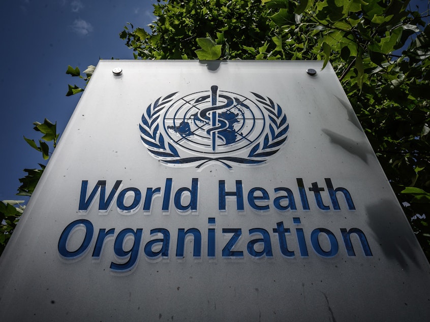 caption: The World Health Organization in Geneva has faced criticism from President Trump over its handling of the pandemic.