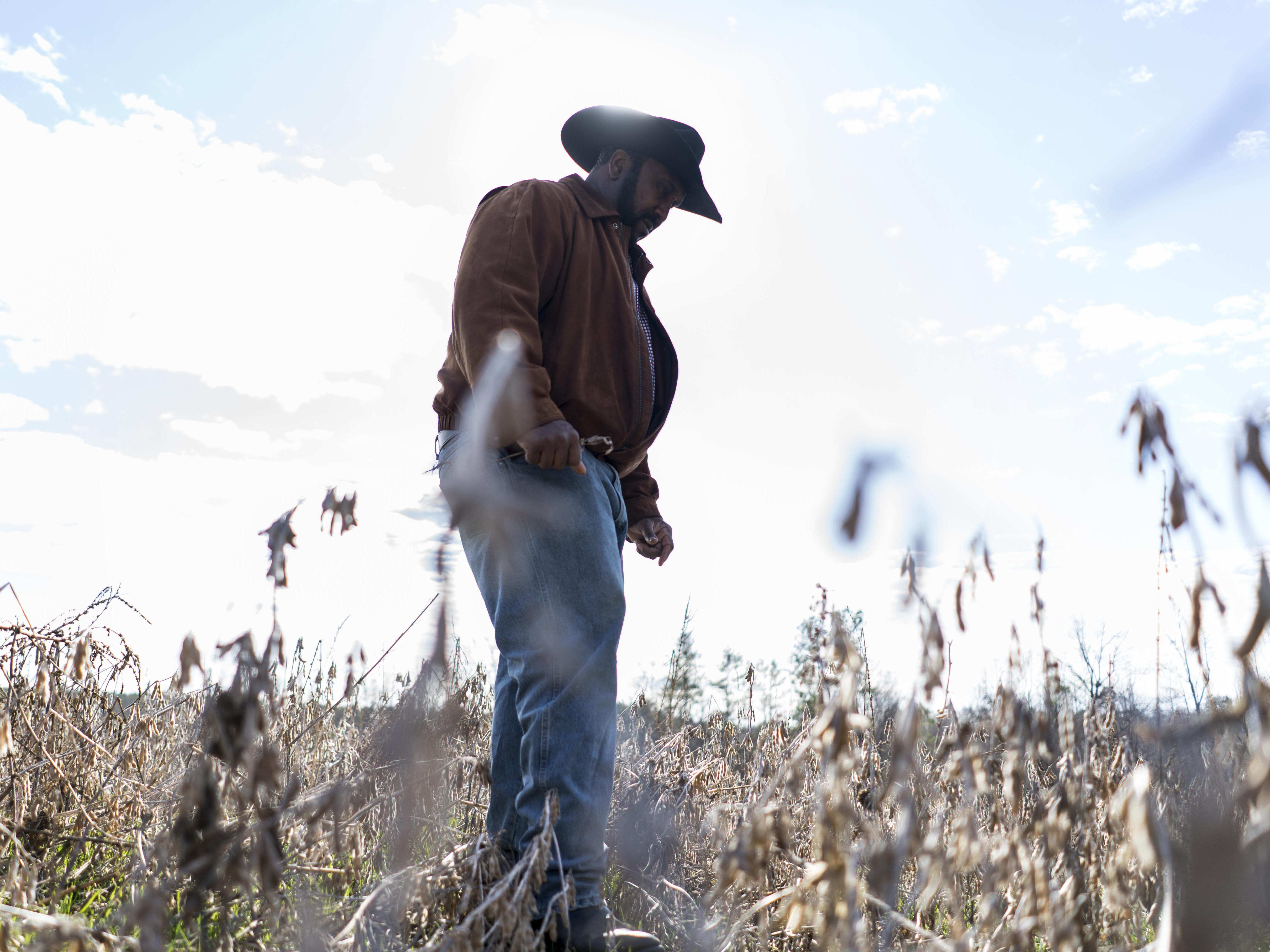 caption: President of the National Black Farmer's Association John Boyd stands in his fields in Baskerville, Va. He says the USDA's relief program is "like the fox watching the hen house."