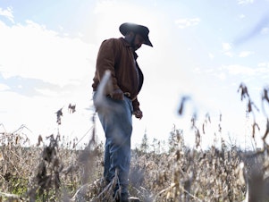 caption: President of the National Black Farmer's Association John Boyd stands in his fields in Baskerville, Va. He says the USDA's relief program is "like the fox watching the hen house."