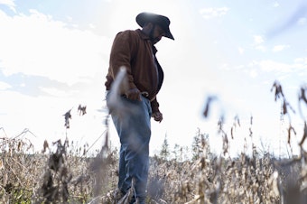 caption: President of the National Black Farmer's Association John Boyd stands in his fields in Baskerville, Va. He says the USDA's relief program is "like the fox watching the hen house."