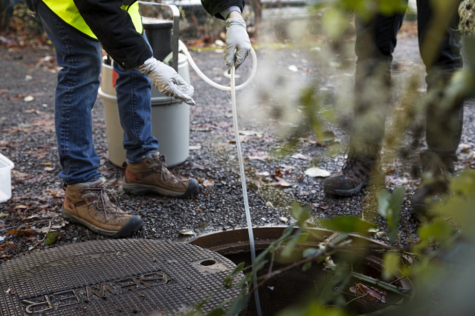 caption: UW researchers take wastewater samples to track Covid-19.