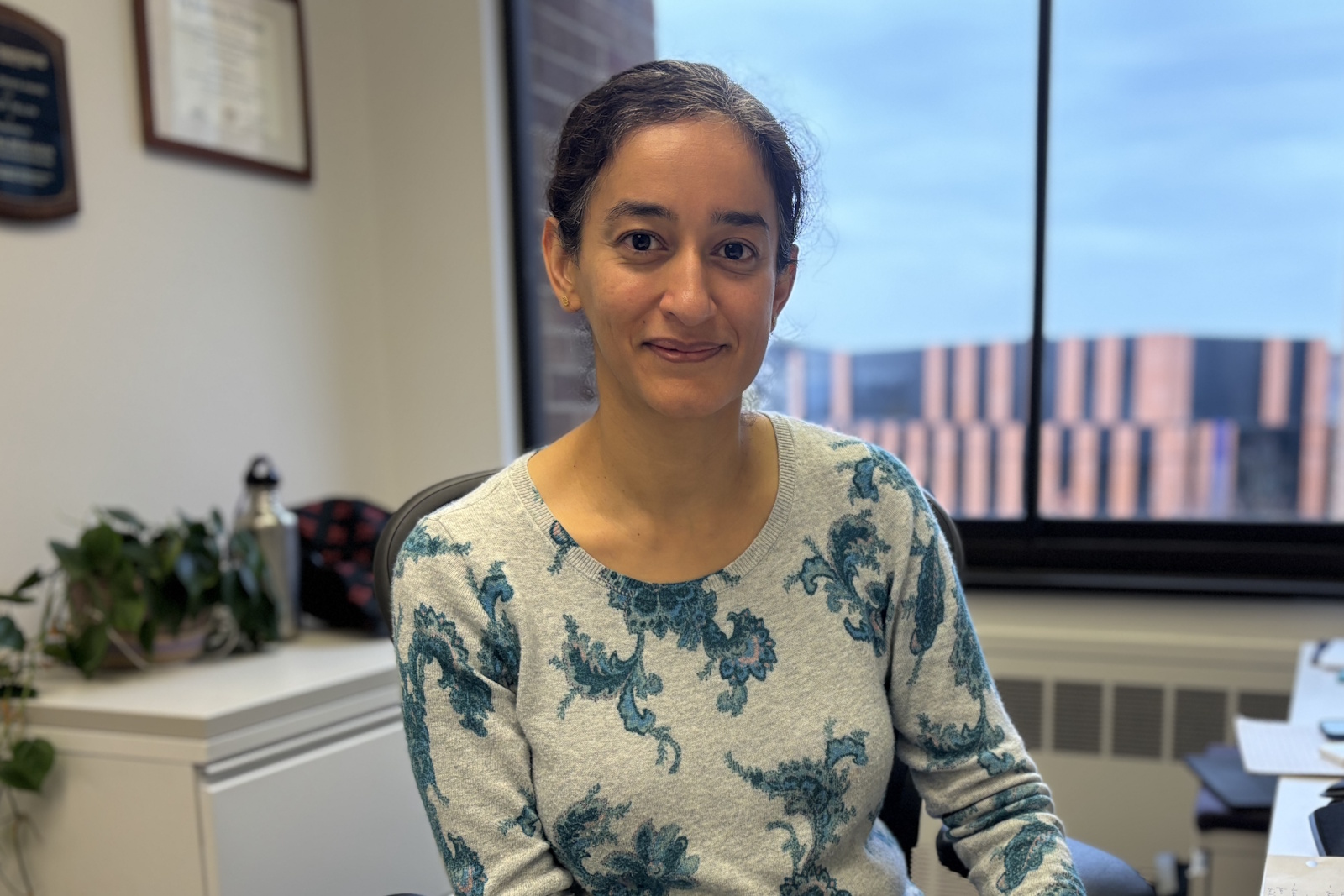 caption: Bhuvana Srinivasan teaches nuclear fusion science at the University of Washington. 