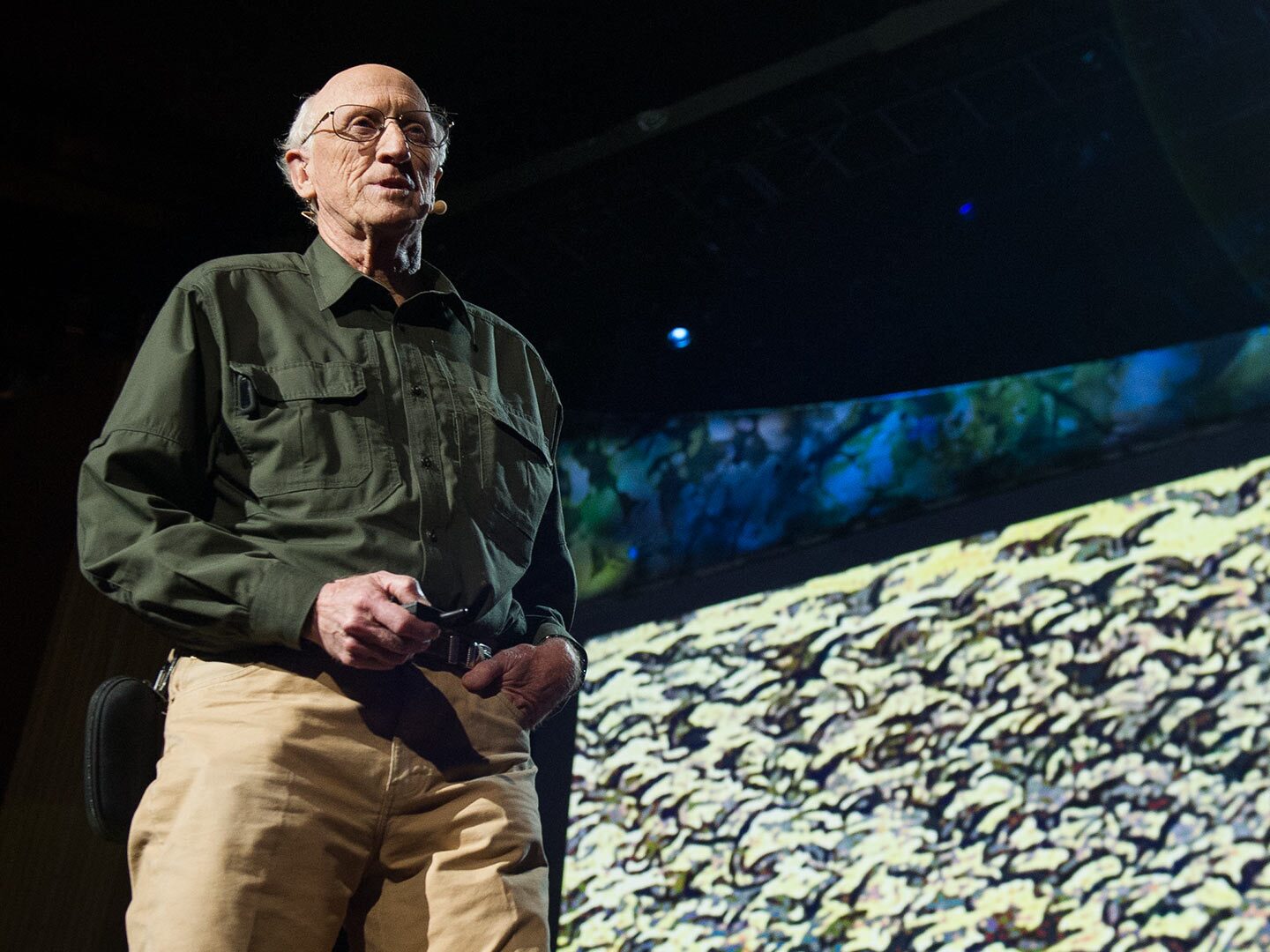 StewartBrand_2013-embed (2).jpg