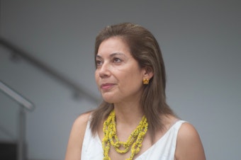 caption: Marianne Menjivar heads the International Rescue Committee's Colombia office. She says Venezuela's crisis has made family planning impossible.