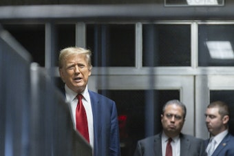 caption: Former President Donald Trump speaks to the press in a hallway outside the courtroom at the end of a hearing to determine the date of his trial for allegedly covering up hush money payments linked to extramarital affairs, at Manhattan Criminal Court in New York City on March 25.