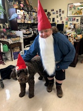 caption: Eyva Winet and their dog Mo dressed up for "gnome day" at Nova Highschool in the 2019-2020 school year.