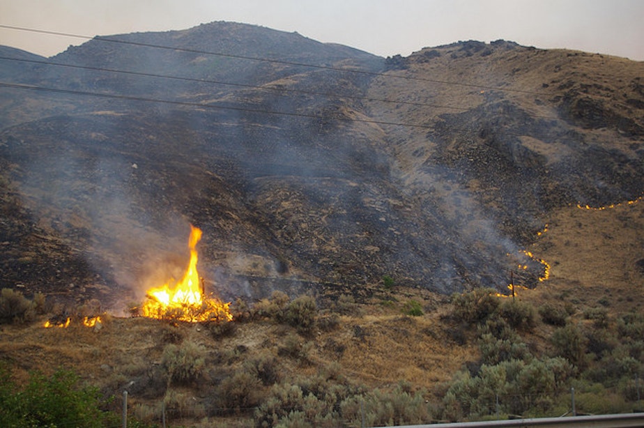caption: The Washington wildland fires in eastern Washington have so far cost the state more than $50 million. 