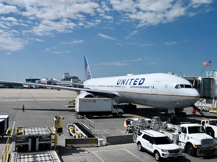 caption: A United Airlines plane sits at the gate at Denver International Airport on July 30. The airline industry has been hit hard by the coronavirus pandemic.