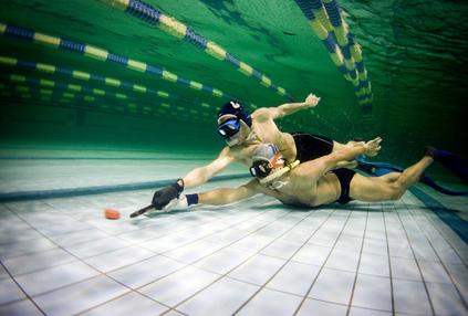 underwater hockey chicago