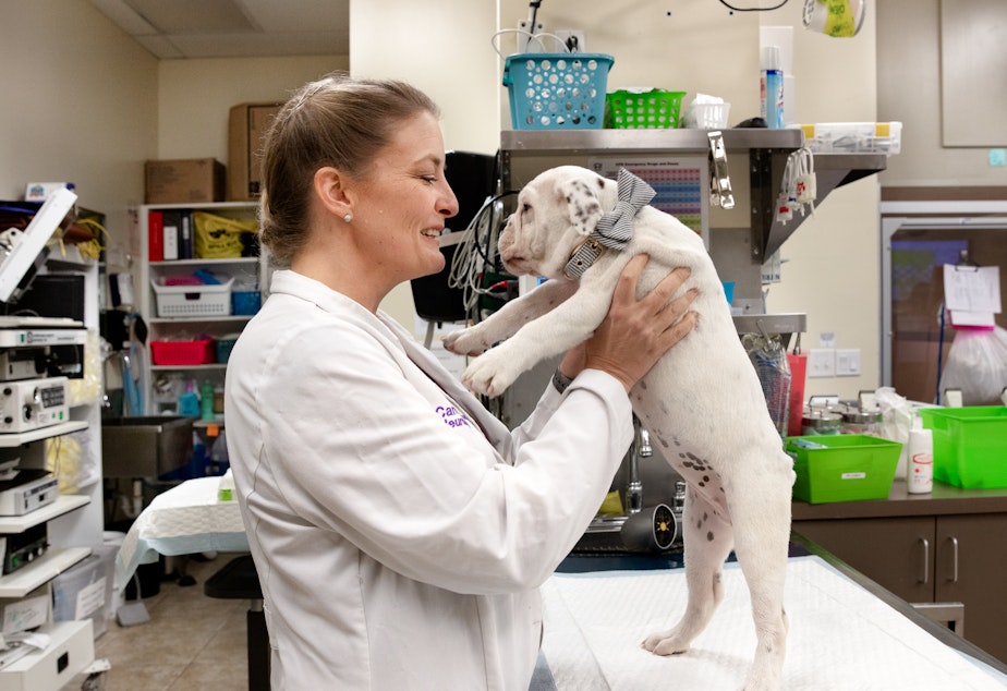 KUOW - Veterinarians Are Killing Themselves. An Online Group Is There To Listen And Help KUOW - Veterinarians Are Killing Themselves. An Online Group Is There To Listen And Help