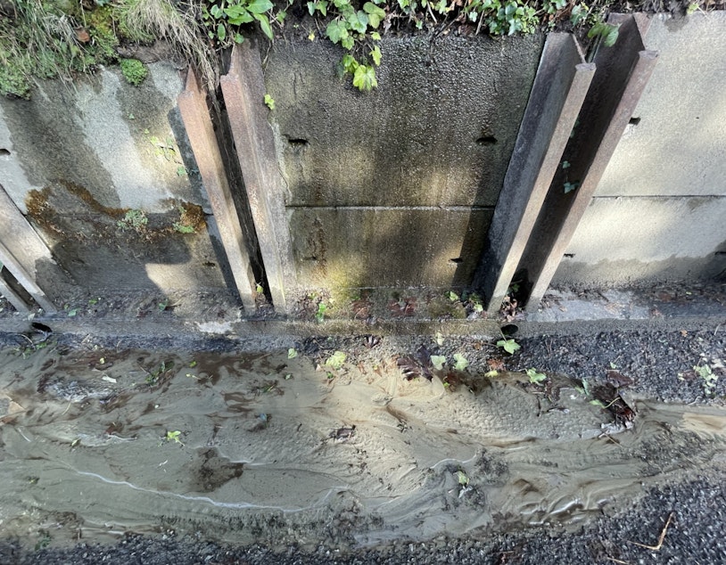 caption: A retaining wall on Perkins Lane, with fine silt deposits in the water that runs at its foot