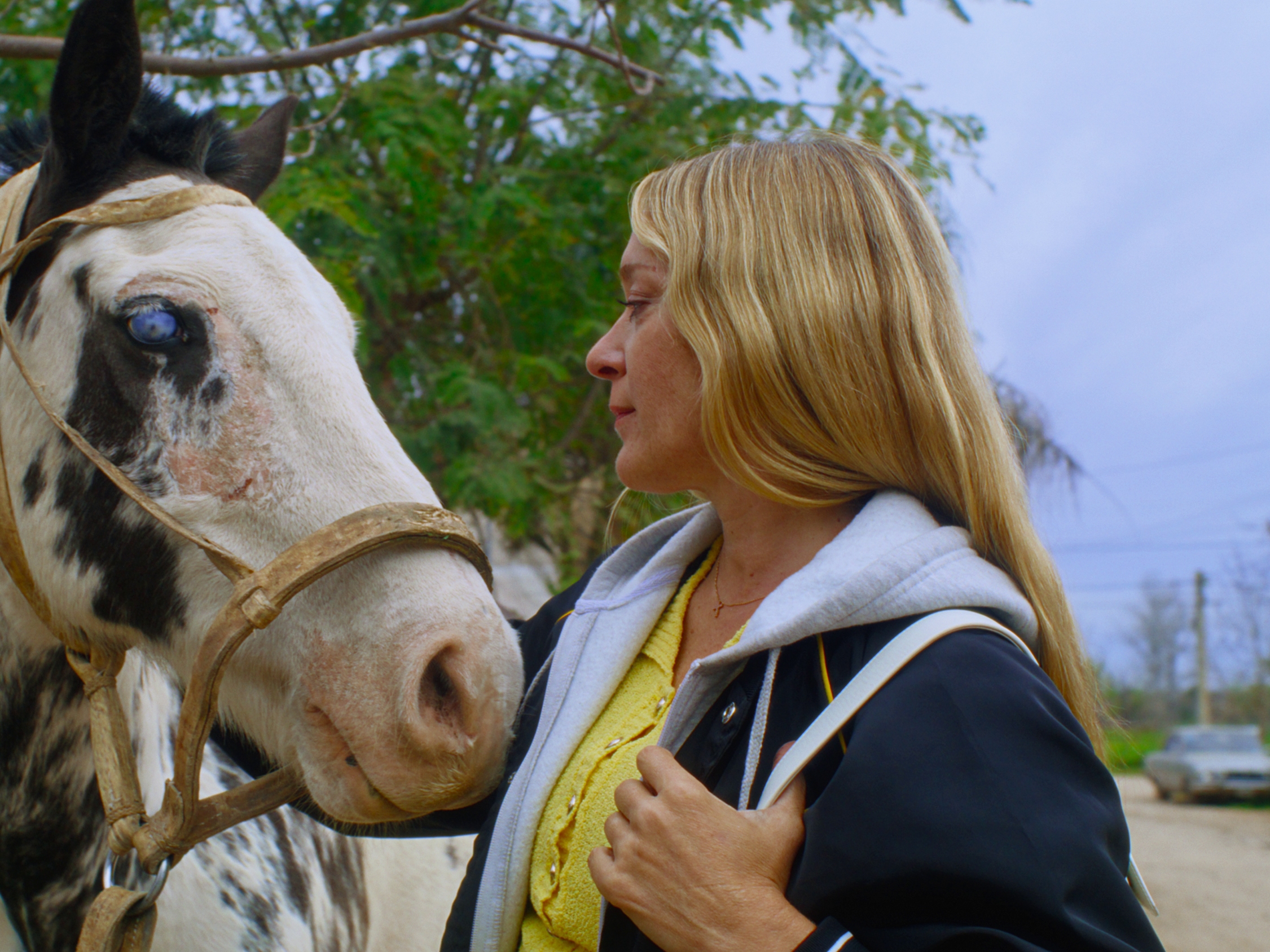 caption: Chloë Sevigny leads a wayward American TV crew in rural Argentina in Amalia Ulman's latest feature film, <em>Magic Farm</em>.