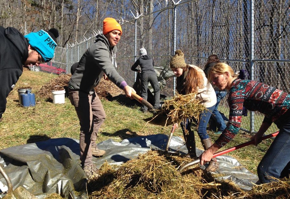 caption: Katrina Spade (orange hat) of the Urban Death Project works with student volunteers to prepare a mulch pile at the Western Carolina University Forensic Osteology Research Center.