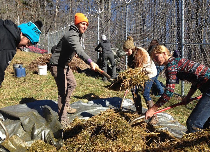 caption: Katrina Spade (orange hat) of the Urban Death Project works with student volunteers to prepare a mulch pile at the Western Carolina University Forensic Osteology Research Center.