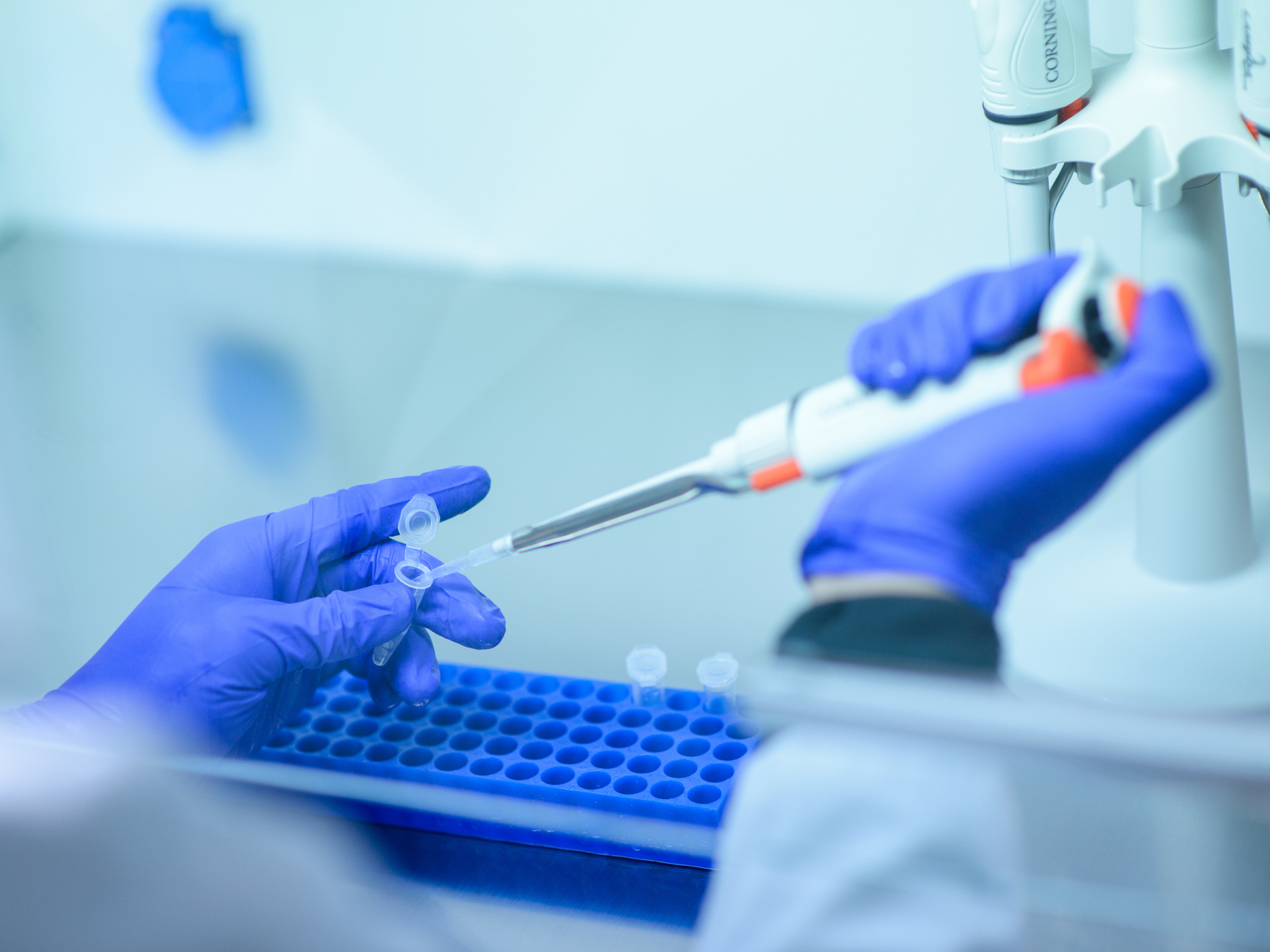 caption: News of a good immune response in animals bodes well for testing future COVID-19 vaccines.