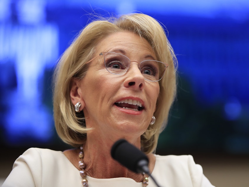 caption: Education Secretary Betsy DeVos testifies before the House Education and Labor Committee in 2019.