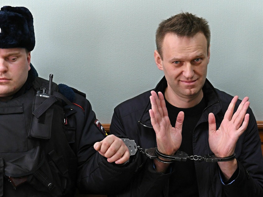 caption: Alexei Navalny rose to fame in Russia with headline-grabbing investigations into corruption in the highest levels of President Vladimir Putin's regime. Navalny (right) is seen here at a court hearing in Moscow in March 2017.