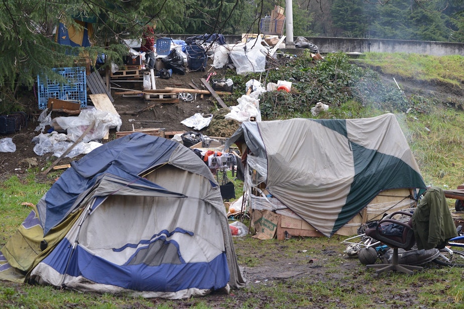 caption: The Jungle: a green beltway east of Interstate 5 where dozens of homeless people live. 