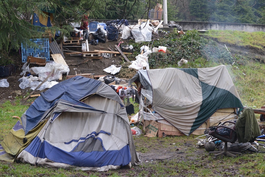 caption: The Jungle: a green beltway east of Interstate 5 where dozens of homeless people live.