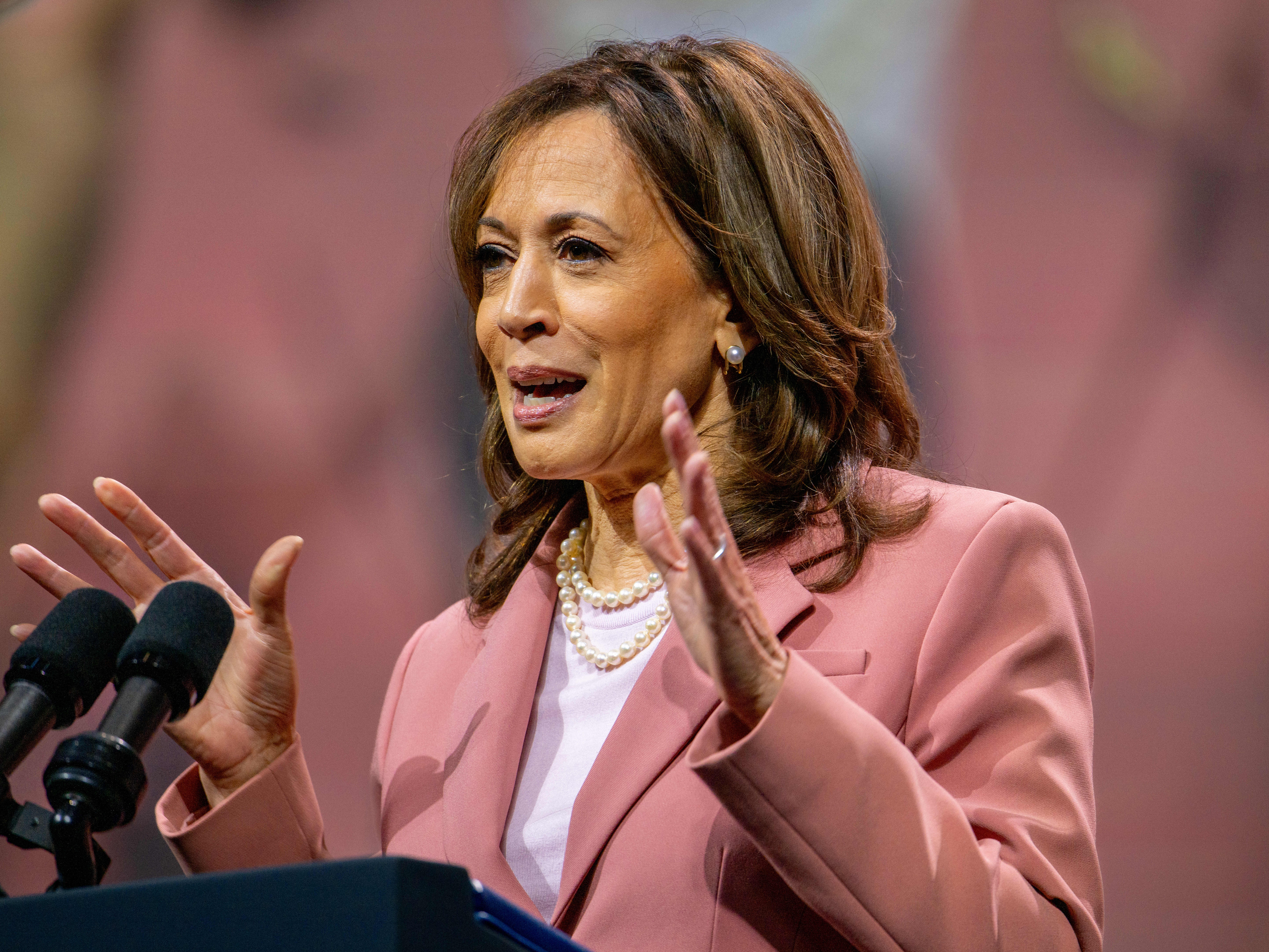 caption: Vice President Kamala Harris speaks to members of the Alpha Kappa Alpha Sorority at the Kay Bailey Hutchison Convention Center on July 10 in Dallas.