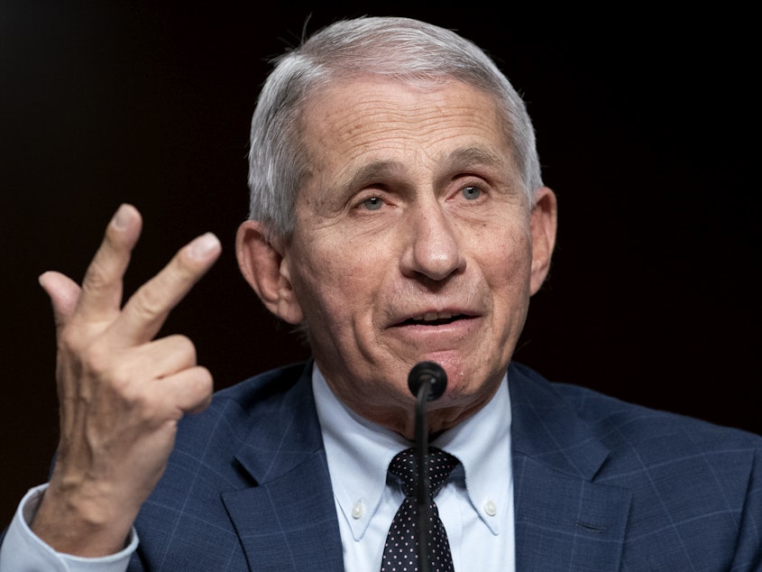 caption: Dr. Anthony Fauci testifies before a Senate Health, Education, Labor, and Pensions Committee hearing on Jan. 11.