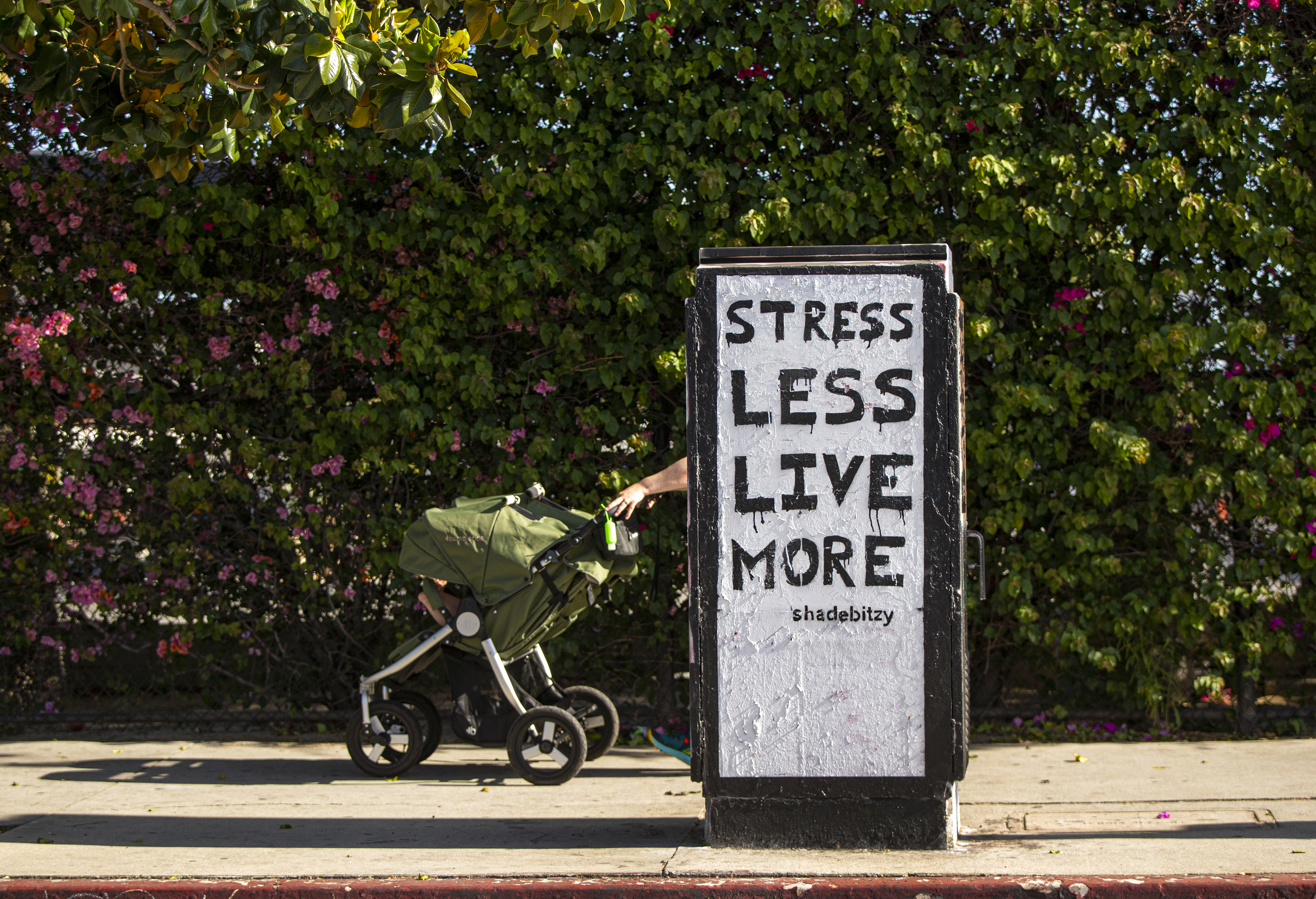 caption: A mother walks with double baby stroller in Los Angeles on Thursday, May 14, 2020. (Damian Dovarganes/AP Photo)